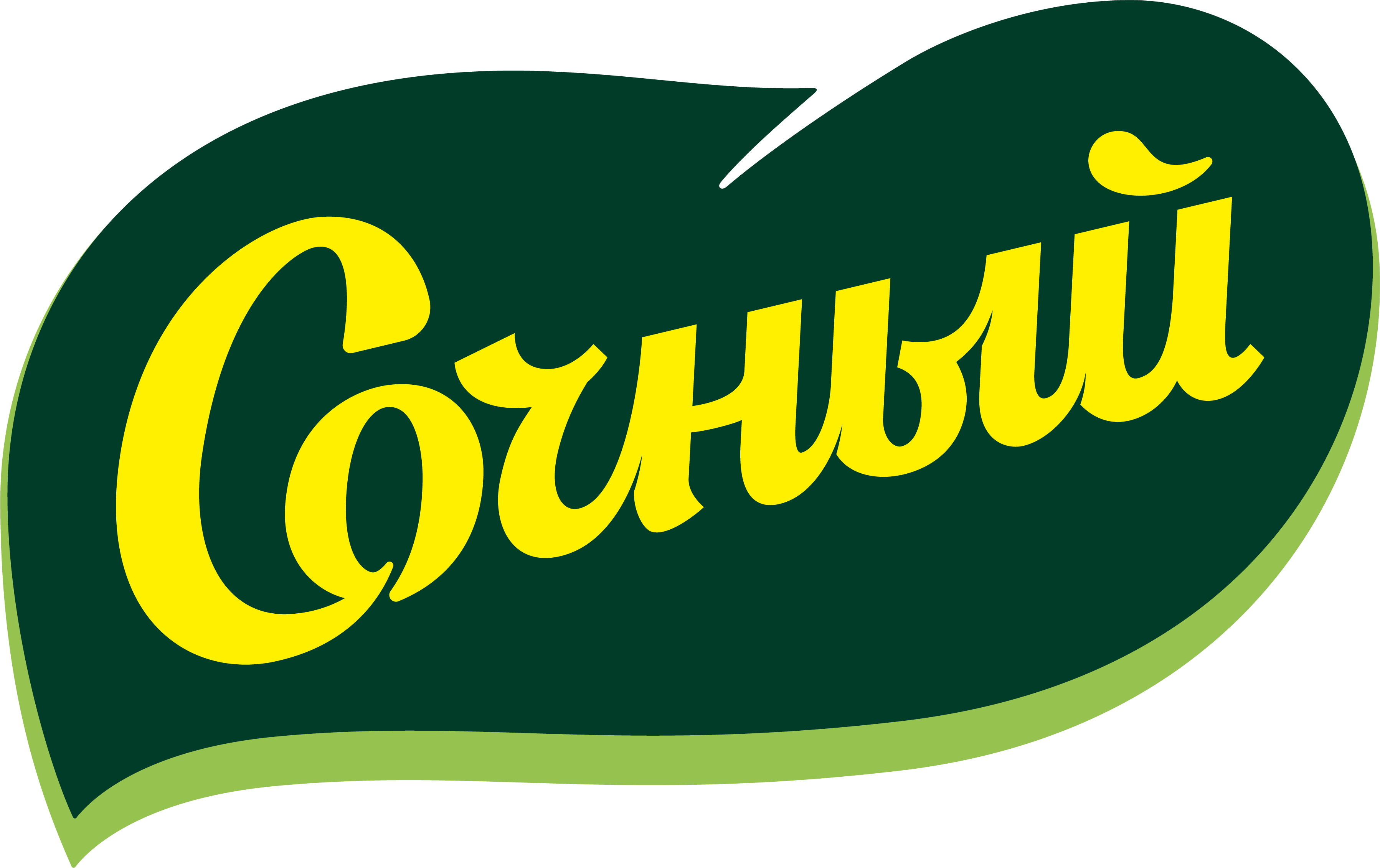 Сочный